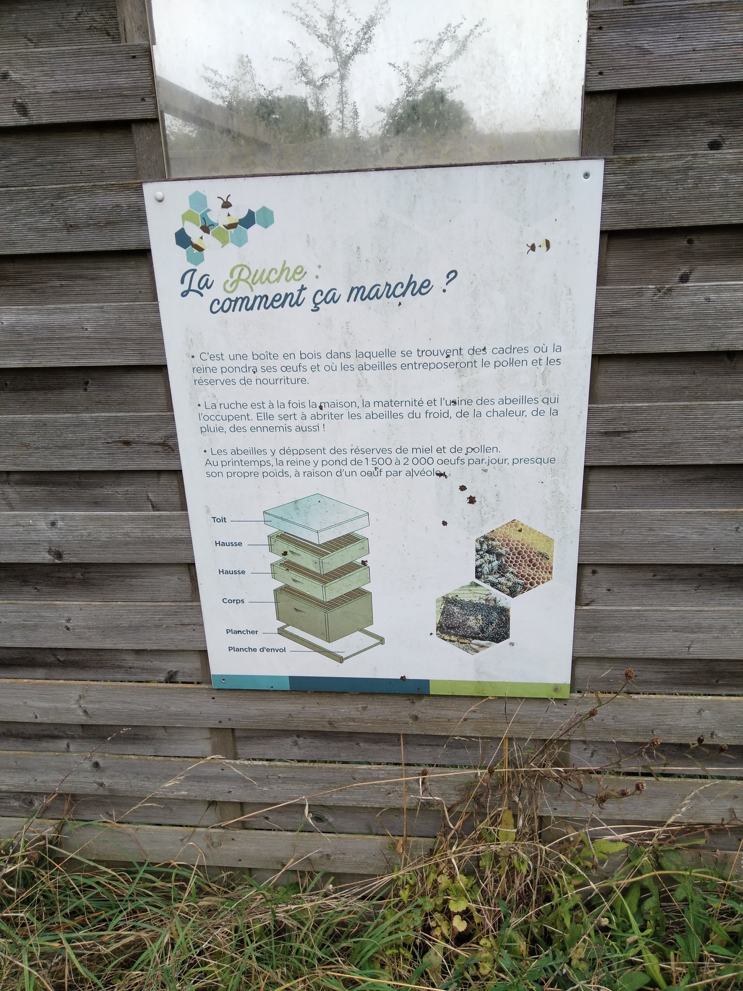 Cimetière de la Madeleine