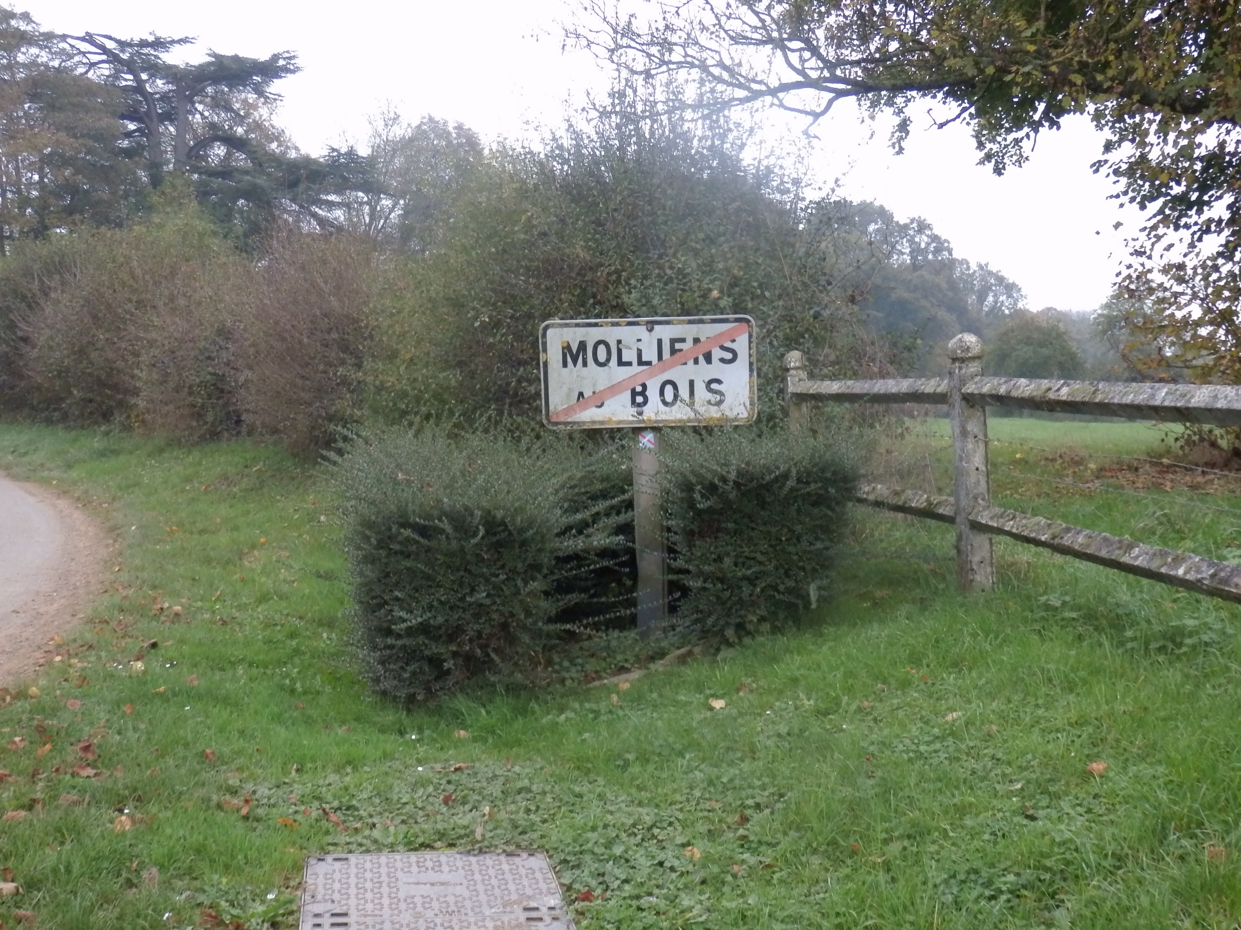 Molliens au Bois